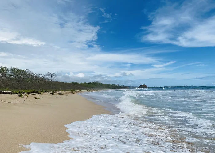 Mar Rey Hotel Tamarindo